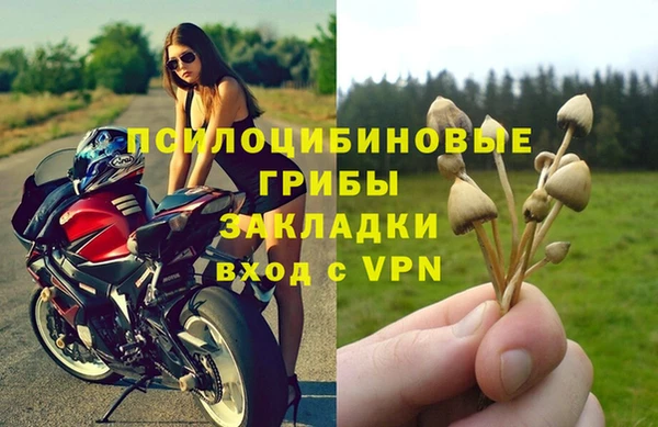 кокс Кинешма