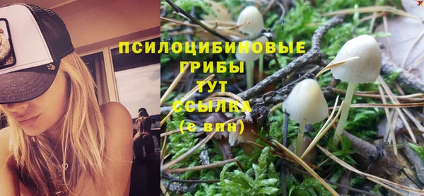 синтетический гашиш Киренск