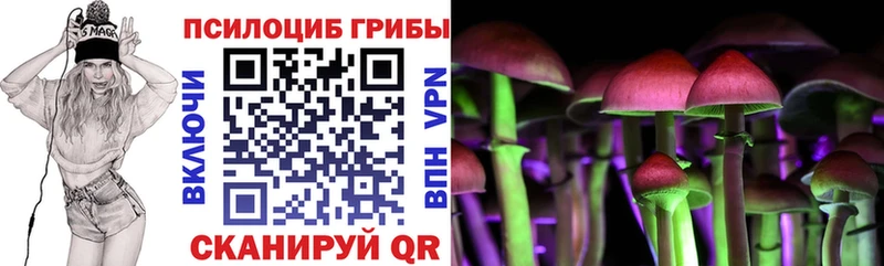 Купить закладки  Старая Русса  Псилоцибиновые грибы Psilocybe 